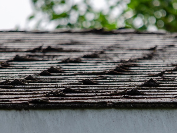 Close-up of curled roofing shingles