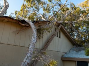 Roofing Insurance Claim - DownUnderRoofing.com