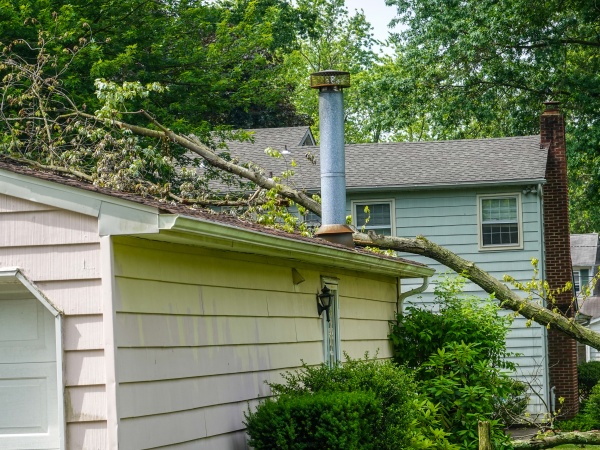 A fallen tree laying on the roof of a garage