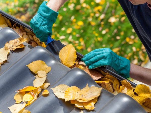 Spring Cleaning for your Roof - DownUnderRoofing.com